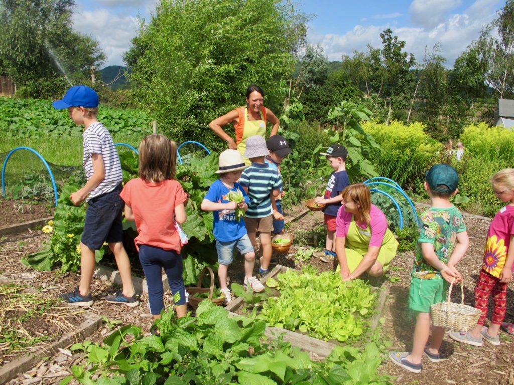Children participating in a gardening project with Growing Local CIC